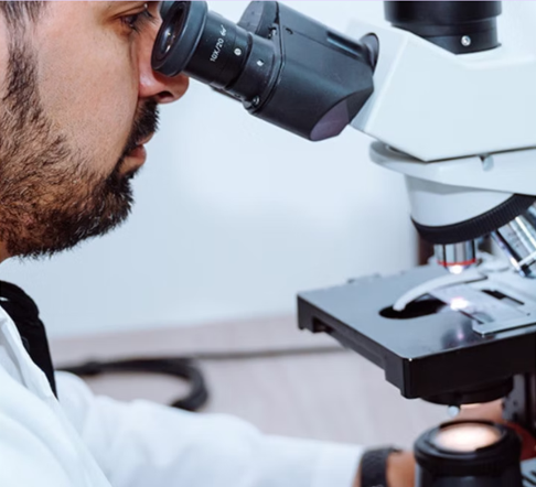 Estudios Moleculares ADN