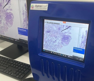 Estación de Trabajo Digital