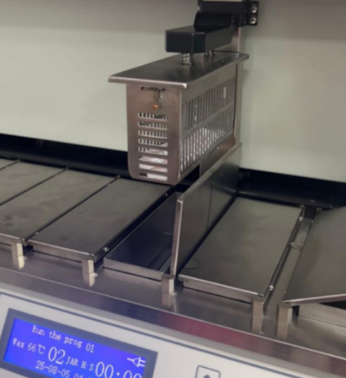 Vista Interna del Procesador